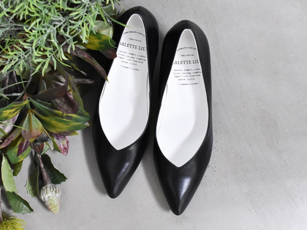 001 ポインテッドVカットプレーンパンプス　AL1801P Black　　木型No.X1395